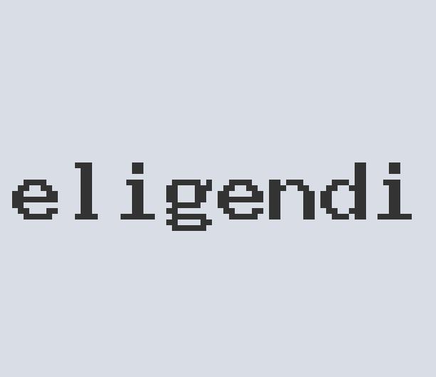 Intelligent Iron So So Choritzo